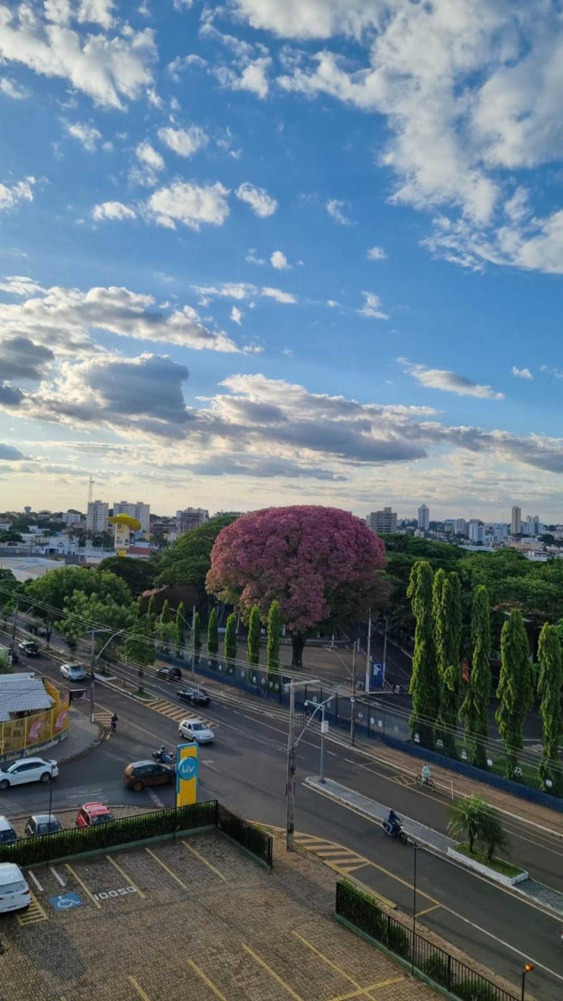Hotel Golden Park Uberaba Zimmer foto